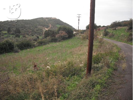 Πώληση οικόπεδο Μεσσηνία Κυπαρισσία χωριό Βανάδα...