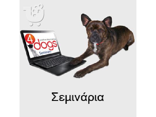 PoulaTo: Σεμινάριο 