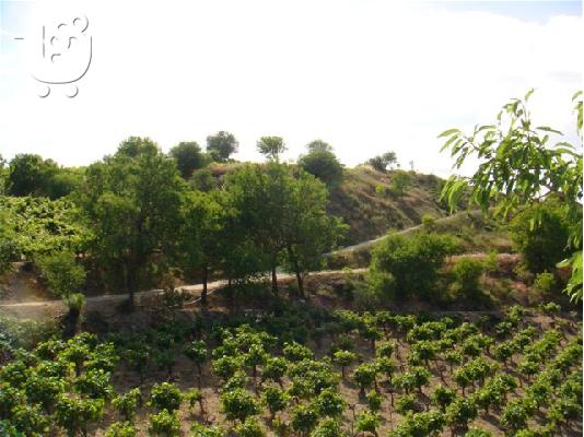 PLOT IN PELLINI-XYLOKASTRO-PELOPONNESE KFKM7560XY1