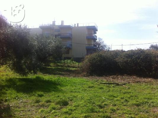 Πωλειται Οικοπεδο 600τ.μ. στο Καναλι, Πρεβεζας