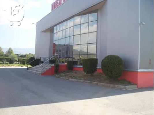 PoulaTo: auction-δημοπρασία αντικες-έργα τέχνης antiqueshouse.gr Σουρωτη Θεσσαλονίκη