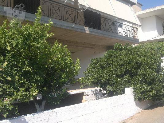ΜΟΝΟΚΑΤΟΙΚΙΑ ΧΑΛΚΙΔΑ ΕΞΩ ΠΑΝΑΓΙΤΣΑ