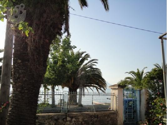 ΠΩΛΗΣΗ ΠΑΡΑΘΑΛΑΣΣΙΟΥ ΟΙΚΟΠΕΔΟΥ ΠΑΤΡΑ - ΡΟΪΤΙΚΑ