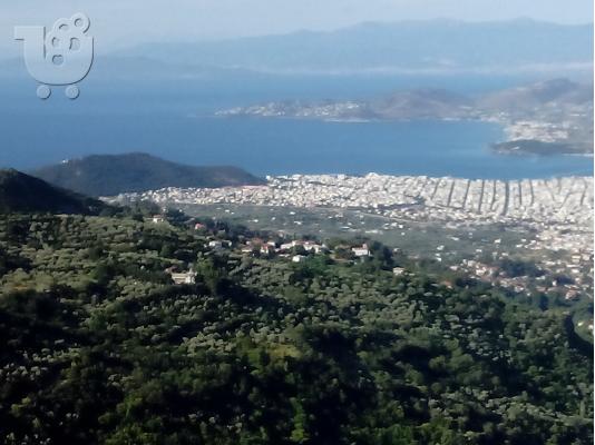 PoulaTo: Πολειται οικοπεδω στην μακρινιτσα