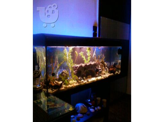 PoulaTo: ΕΝΥΔΡΕΙΟ 120 ΛΙΤΡΑ AQUATLANTIS