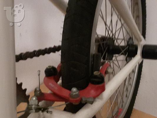BMX Sector SRP
