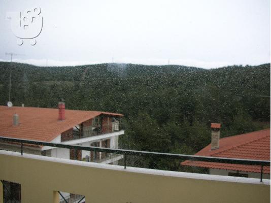 THEA ANEMPODISTI STO DASOS SEIX SOU KONTA STON PERIFERIAKO ALLA KAI STA KASTRA