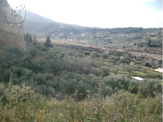 ΒΙΟΜΗΧΑΝΙΚΗ ΕΚΤΑΣΗ ΠΑΤΡΑ ΡΙΟΝ-ΑΧΑΪΑΣ KFKMGM7560R1