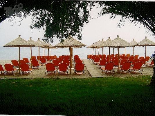 ΕΥΚΑΙΡΙΑ!!! ΠΩΛΕΙΤΑΙ ΜΠΟΥΓΑΤΣΑ ΚΑΙ BEACH-BAR ΣΤΗ ΧΑΛΚΙΔΙΚΗ...
