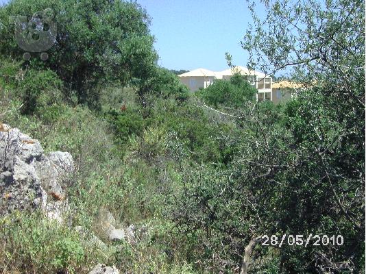 Κεφαλονιά ΣΚΑΛΑ