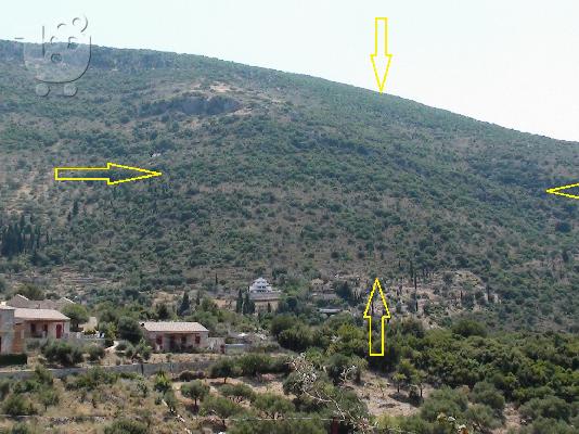 Ιθάκη αγροτεμάχιο 220 στρέμματα.