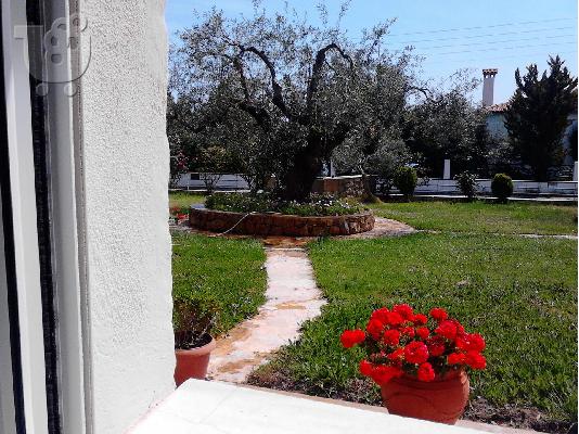 PoulaTo: Κασσανδρα,Μόλα Καλύβα,ισόγειο διαμέρισμα  στη θάλασσα