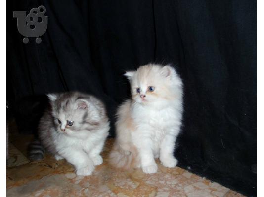 persika gatakia Περσική (Persian)