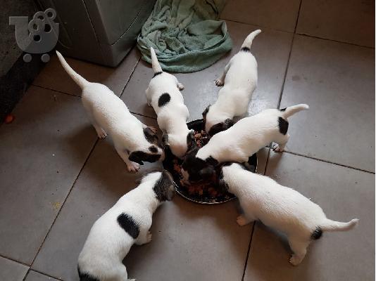 PoulaTo: Oferta de los Particulares έχει préstamo