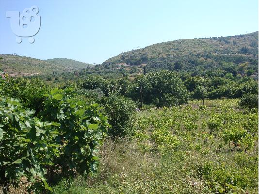 ΟΙΚΟΠΕΔΟ ΣΤΙΣ ΠΟΤΑΜΙΕΣ ΜΥΤΙΛΗΝΙΩΝ ΣΑΜΟΥ