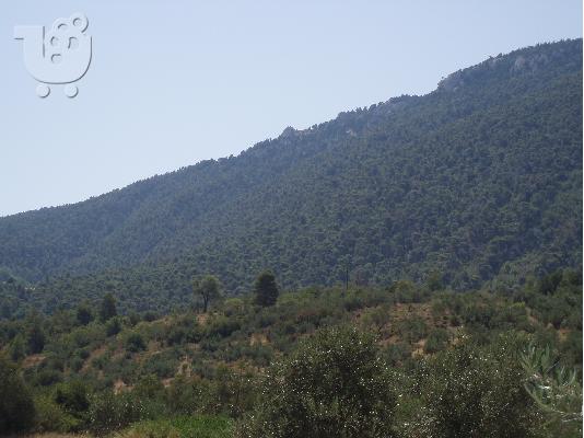 PoulaTo: Οικοπεδο στο Λουτρακι 1000 στρεμματων