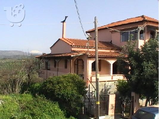 ΜΟΝΟΚΑΤΟΙΚΙΑ ΚΟΝΤΑ ΣΤΗ ΘΑΛΑΣΣΑ
