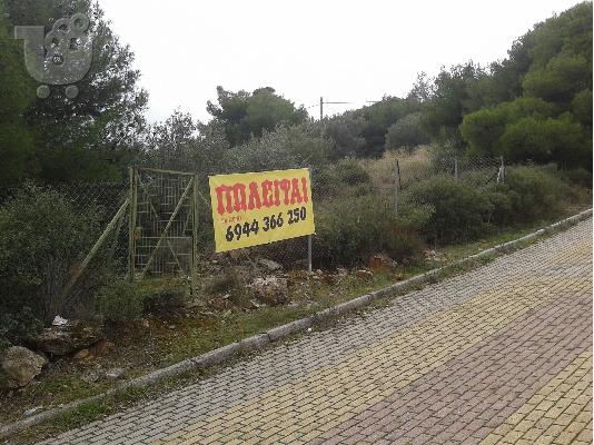 Αγροτεμάχιο στα Γλυκά Νερά