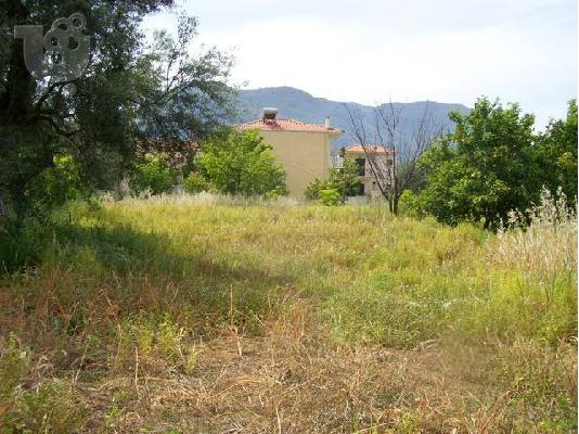 PoulaTo: Πωλείτε οικόπεδο 2900τ.μ στο Διακοφτό