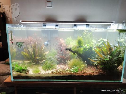 ΠΩΛΕΙΤΑΙ ΚΑΙΝΟΥΡΙΟ ΕΝΥΔΡΕΙΟ EHEIM EXTRA CLEAR TANK 200