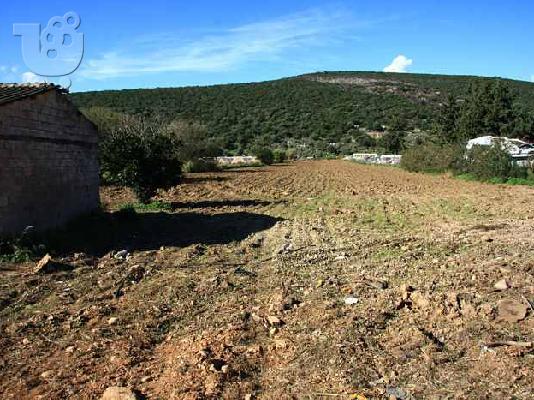 ΑΓΡΟΚΤΗΜΑ ΣΤΟΝ ΜΑΡΑΘΩΝΑ