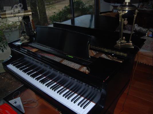 PoulaTo: STEINWAY B 7 'EBONY BK