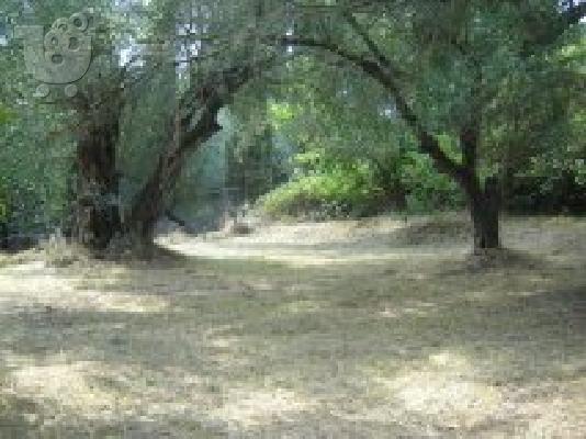 πωλειται οικοπεδο στην παλαιοκαστριτσα κερκυραs