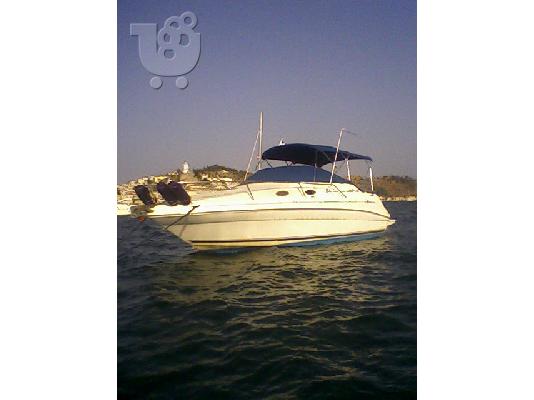 sea-ray sandancer 240