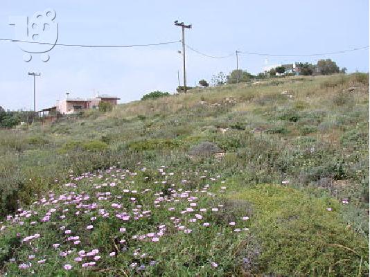Αμφιθεατρικό Οικόπεδο στον Αζόλιμνο, Σύρος