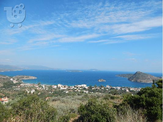 PoulaTo: ΠΩΛΕΙΤΑΙ ΟΙΚΟΠΕΔΟ ΣΤΟ ΤΟΛΟ ΑΡΓΟΛΙΔΑΣ