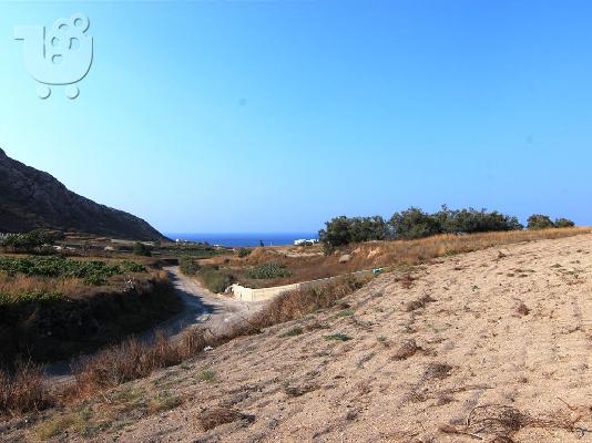 PoulaTo: Αγροτεμαχιο  Εμπορειο Σαντορινης  Θεση Κιντουγκλας