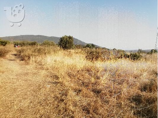 ΠΩΛΕΙΤΑΙ ΑΓΡΟΤΕΜΑΧΙΟ 2 ΣΤΡΕΜΑΤΑ