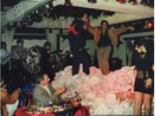 PoulaTo: γυψινα πιατα για σπασιμο