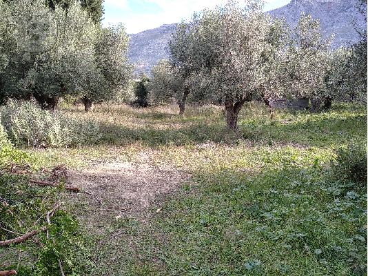 Πωλείται οικόπεδο στην Παλαιρο Αιτωλοακαρνανίας