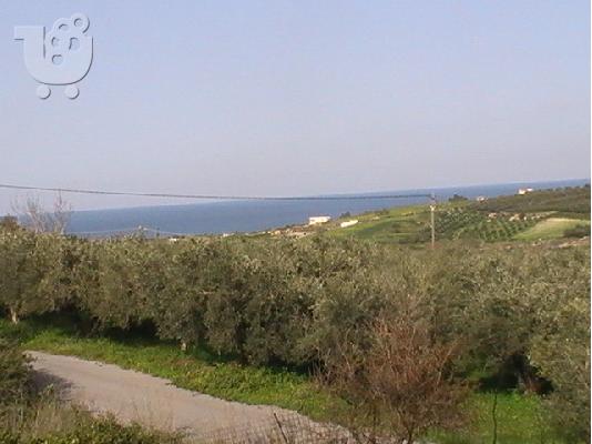 ΜΟΝΟΚΑΤΟΙΚΙΑ ΚΟΝΤΑ ΣΤΗ ΘΑΛΑΣΣΑ