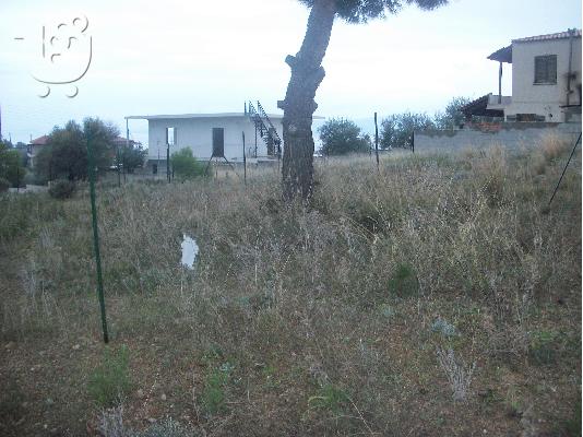 Άγιοι Θεόδωροι Κορινθίας πωλούνται οικόπεδα