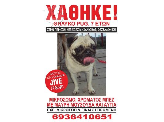 PoulaTo: ΧΑΘΗΚΕ ΠΑΓΚ ΜΗΧΑΝΙΩΝΑ ΘΕΣΣΑΛΟΝΙΚΗ