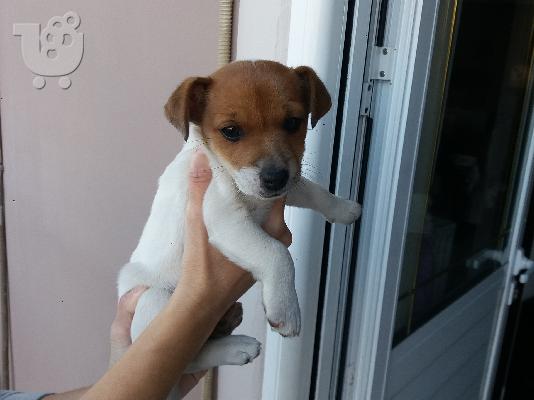 Σαλόνια εξωτερικού χώρου Τριανδρία 2ΙΙ 0Ι26 938 Outdoor Lounge furniture Triandria  saloni...