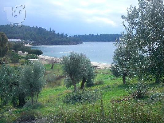 ΠΩΛΕΙΤΑΙ ΟΙΚΟΔΟΜΗΣΙΜΟ ΟΙΚΟΠΕΔΟ ΣΤΟ ΝΕΟ ΜΑΡΜΑΡΑ ΧΑΛΚΙΔΙΚΗΣ...