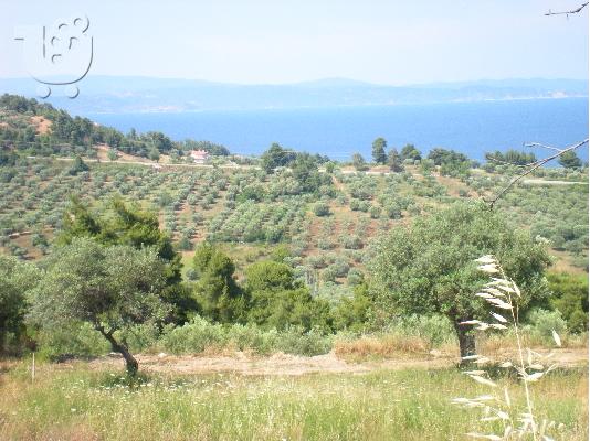 PoulaTo: ΑΓΡΟΤΕΜΑΧΙΟ 2 ΣΤΡΕΜ, ΜΕ ΘΕΑ ΣΤΗ ΘΑΛΑΣΣΑ, ΑΓΙΟΣ ΝΙΚΟΛΑΟΣ