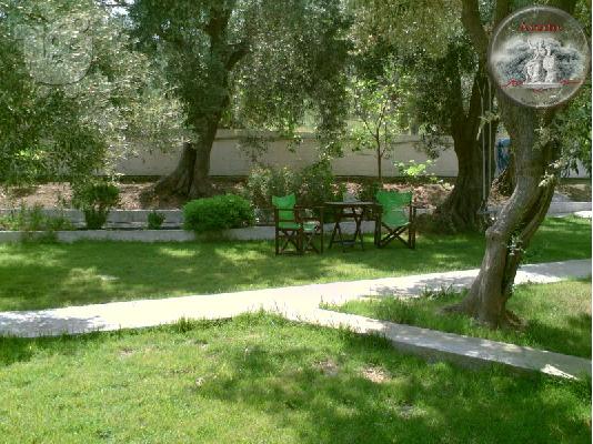 βιλλα για διακοπες στη σκιαθο 