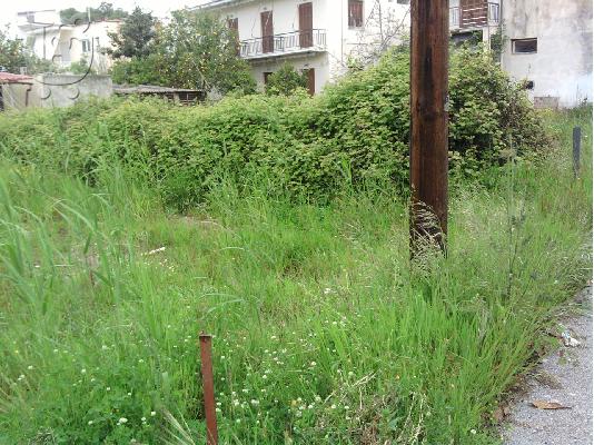 Πωλείται οικόπεδο στο Πευκί Ευβοίας 186 τ.μ.