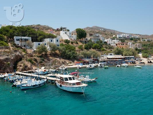 Ταβέρνα στην Συρο