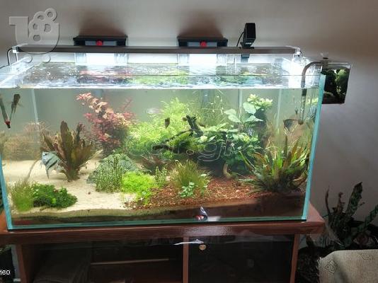 ΠΩΛΕΙΤΑΙ ΚΑΙΝΟΥΡΙΟ ΕΝΥΔΡΕΙΟ EHEIM EXTRA CLEAR TANK 200