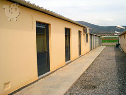 DOGVILLE  ΠΑΝΣΙΟΝ ΣΚΥΛΩΝ ΚΑΙ ΜΙΚΡΩΝ ΖΩΩΝ, ΕΚΜΑΘΗΣΗ  ΣΚΥΛΩΝ, PET TAXI, PET TRANSPORT Γερμαν...
