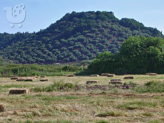 PoulaTo: Αγ.Ανδρέας -Κατάκολο 20000M2