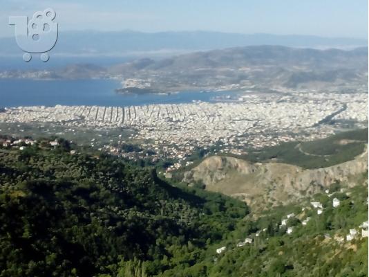 Πωλειται οικοπεδω στην μακρινιτσα πηλιου εντος σχεδιου λογο μεγαλης αναγγης...