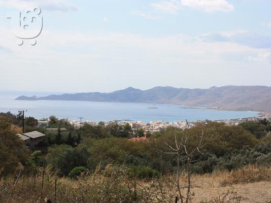 ΠΩΛΗΣΗ ΟΙΚΟΠΕΔΟΥ