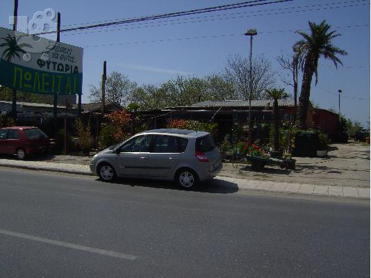 Φυτώριο με θερμοκήπια αποθήκη και εμπόρευμα