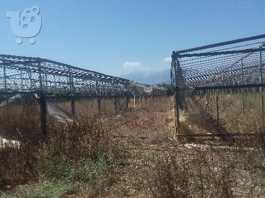 PoulaTo: πουλο θερμοκιπιο 1.500 τ.μ.μεταλικο 2 τολ 15 χ 50
